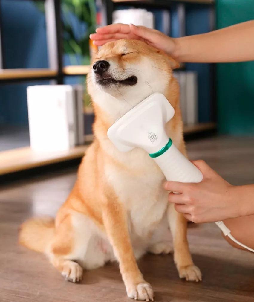 CEPILLO SECADOR DE PELO MASCOTA